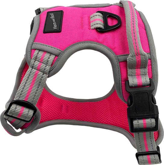 Hem Sports Harness Bright Pink Large