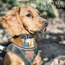 Ancol Heritage Country Check Dog Collar Small