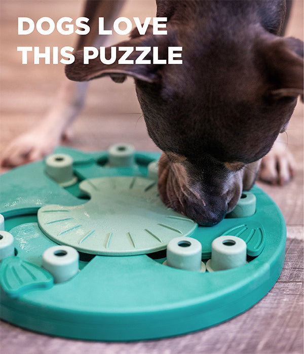 Dog Worker Puzzle Play