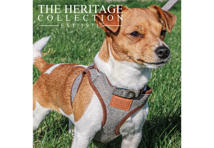 Ancol Herringbone Step In Harness Small