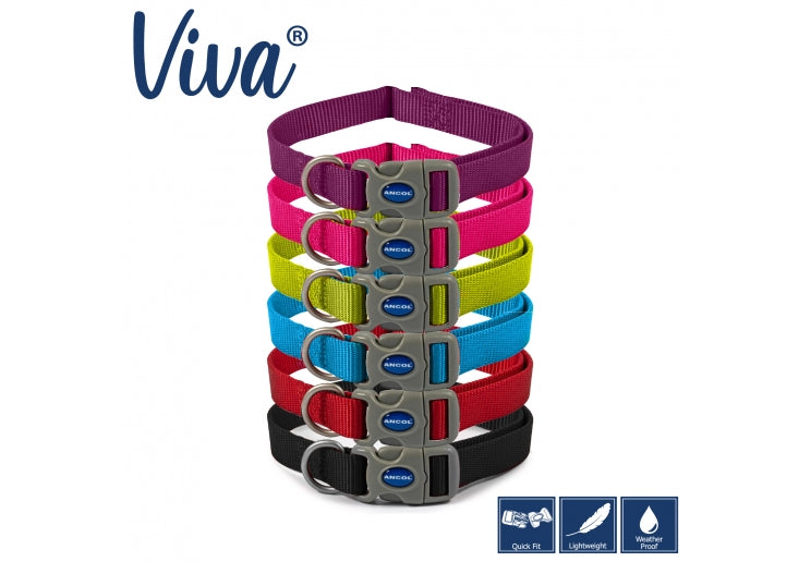 Viva Adjustable Purple Dog Collar Medium