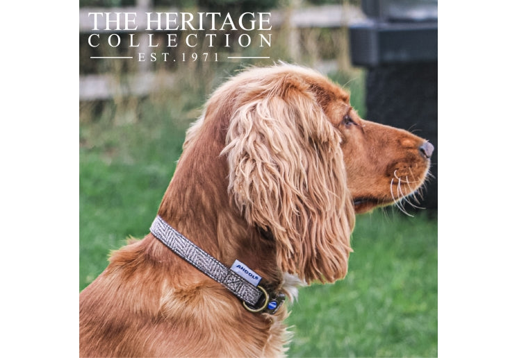 Ancol Heritage Herringbone Dog Collar Small