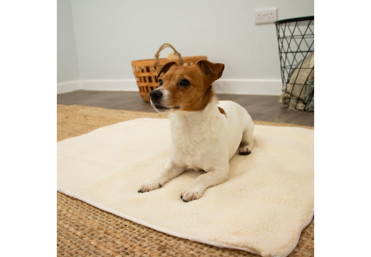 Self Heating Pet Pad Small 48x38cm