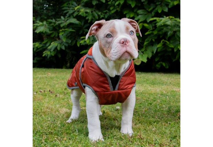 Heritage Terracotta XS Quilted Coat