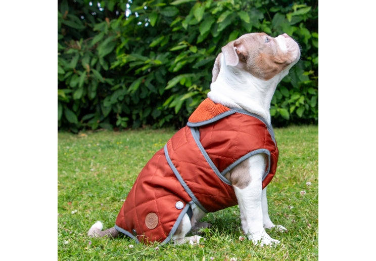 Heritage Terracotta XS Quilted Coat
