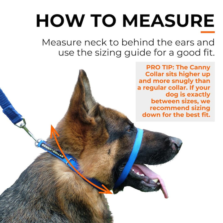 Canny Collar No-Pull Dog Headcollar - Black – Size 1