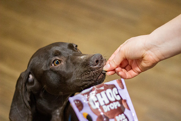 Choc Drops for Dogs 200g