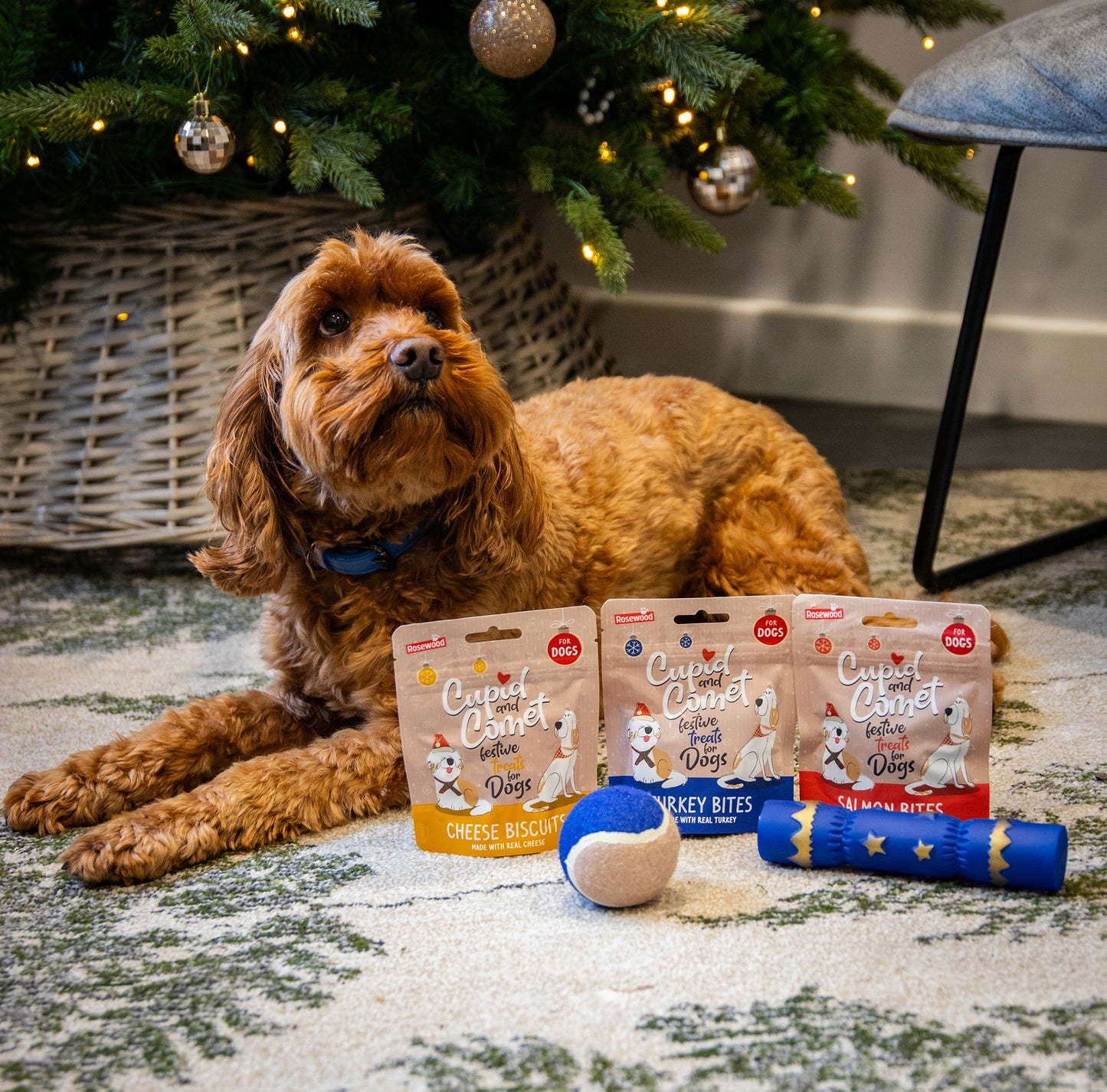 Rosewood Christmas Dinner Stocking Gift for Dogs NEW