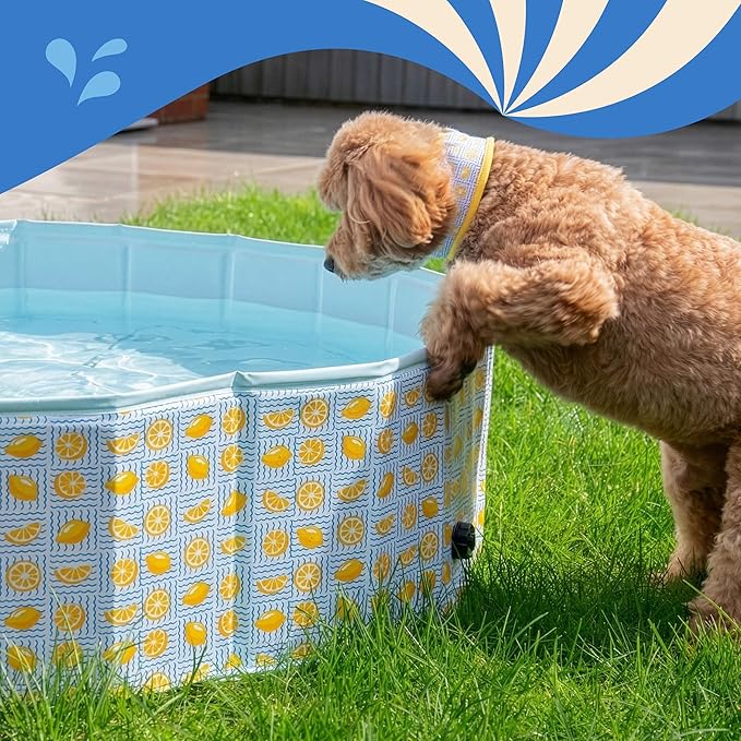 Rosewood Paddling Pool - Lemon Print 120x120x30cm