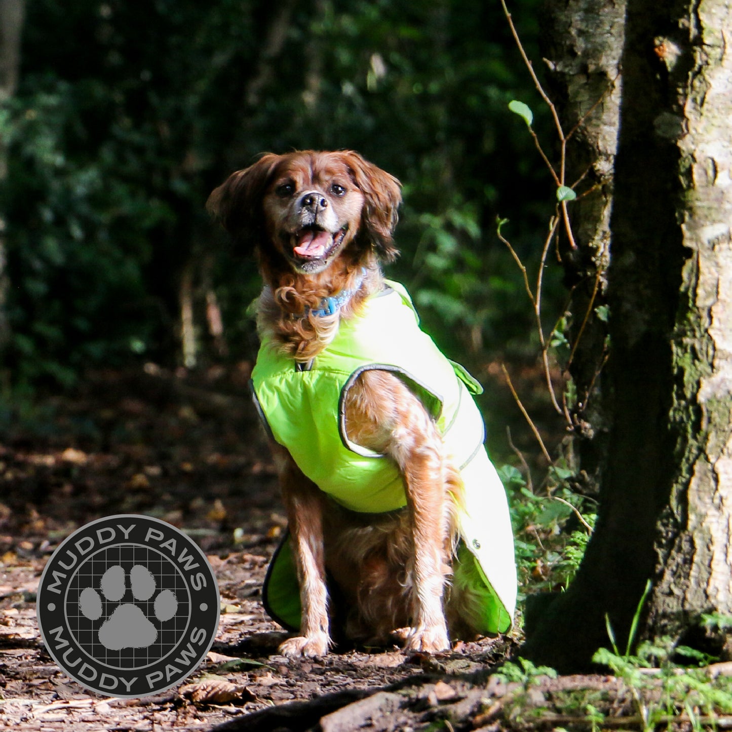 Stormguard Hi-Vis Dog Coat XS