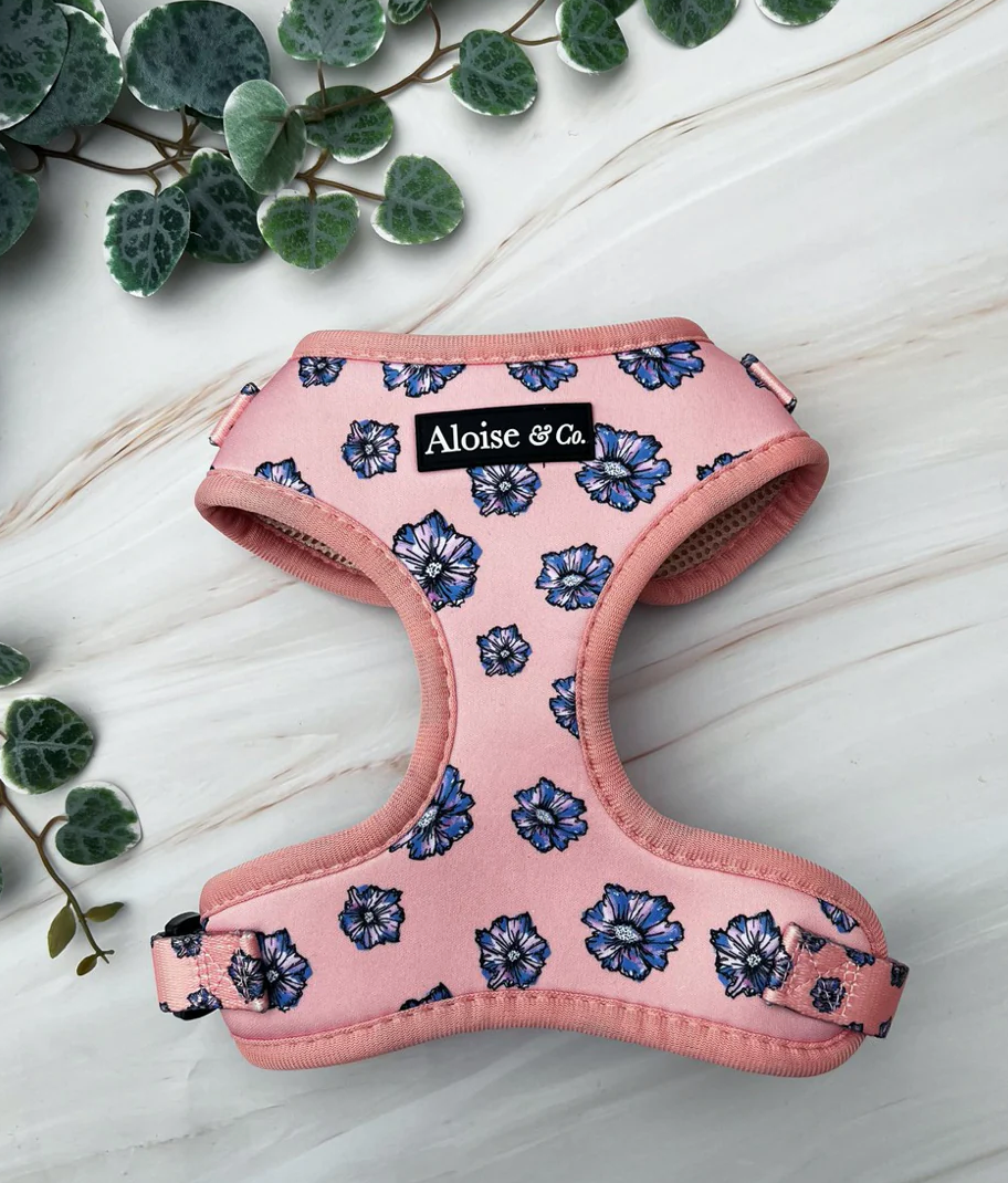 A&C Harness Blooming Blossom Medium