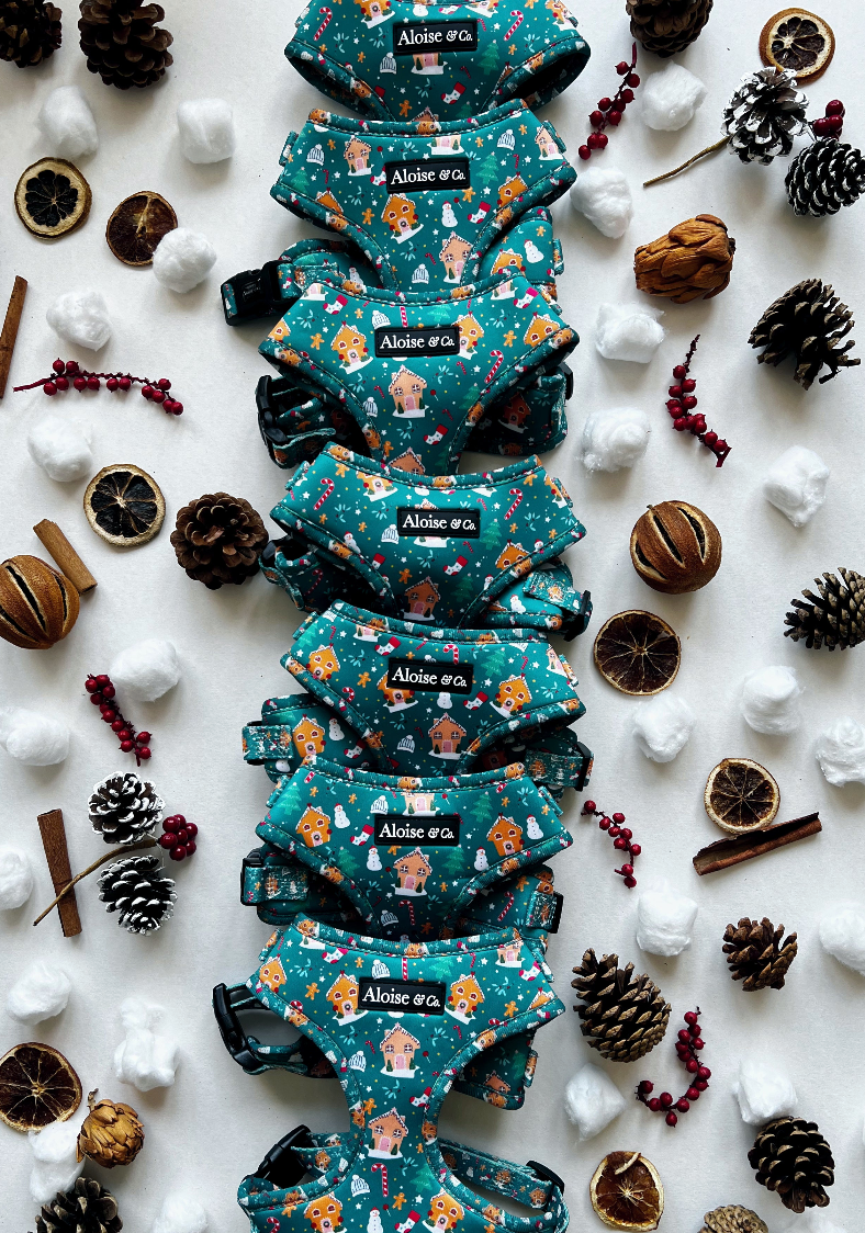 A&C Christmas Harness XS DISC
