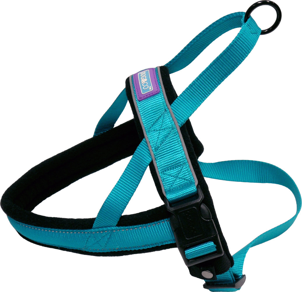 D&C Reflective Padded Harness Aqua XL
