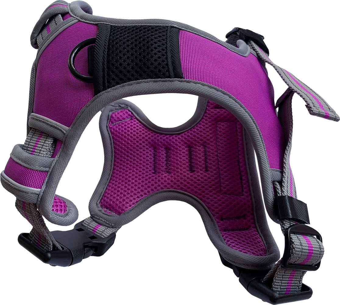 Hem Sports Harness Purple Large