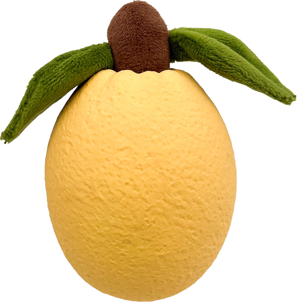 Fruit and Veg Latex with Plush Dog Toy with Squeaker