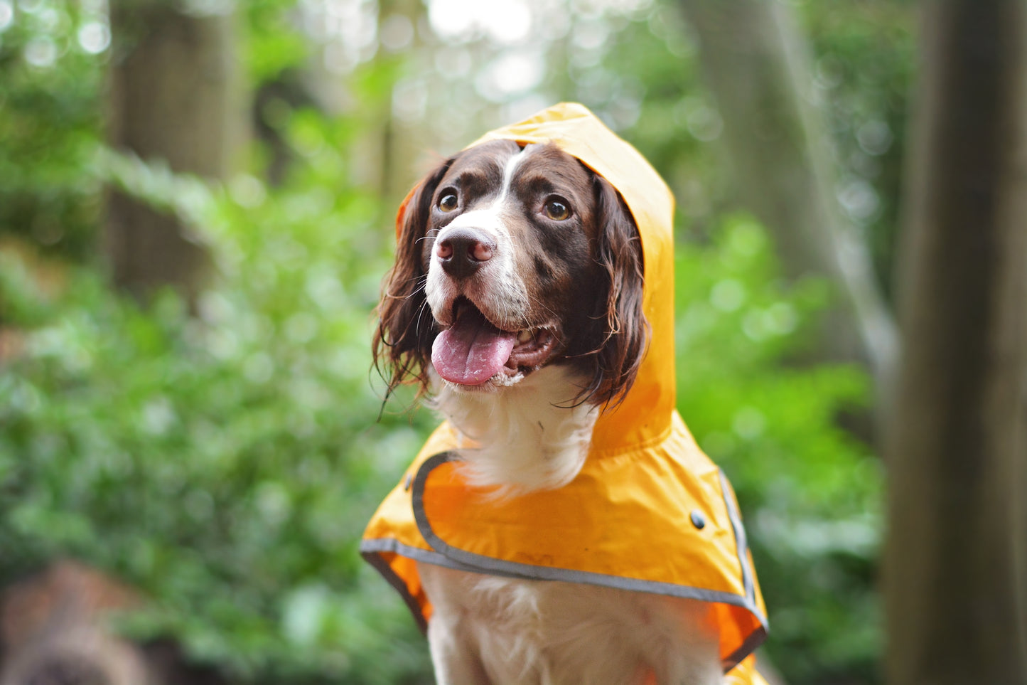 Sotnos Sunshine Yellow Raincoat S NEW