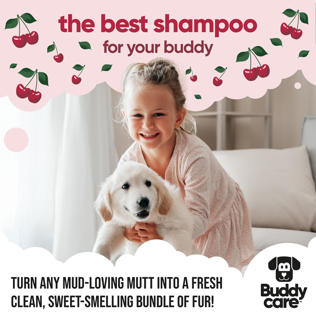 Buddycare 5 Litre Dog Shampoo - Black Cherry - 5L / 1.32 Gal