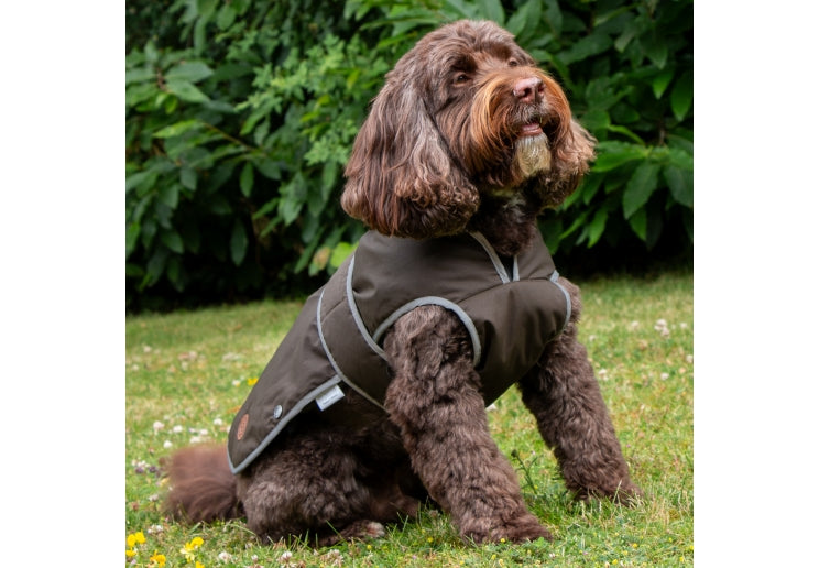 Heritage Wax Cotton Dog Coat Medium