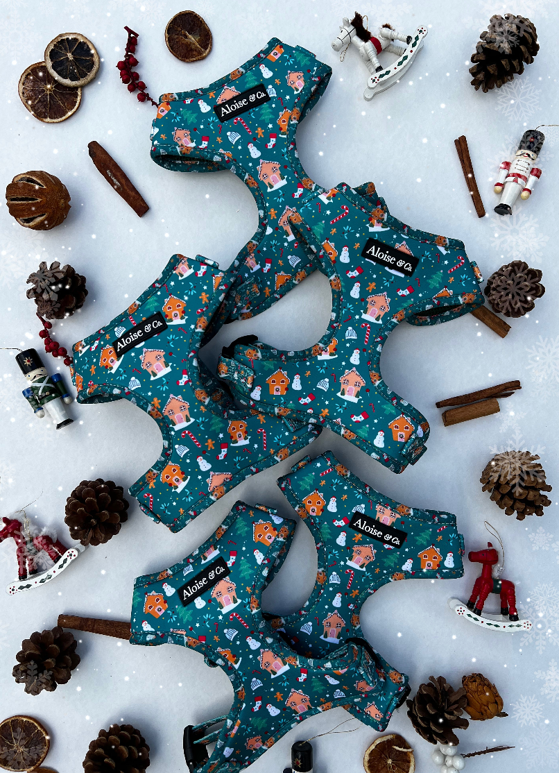 A&C Christmas Harness XS DISC