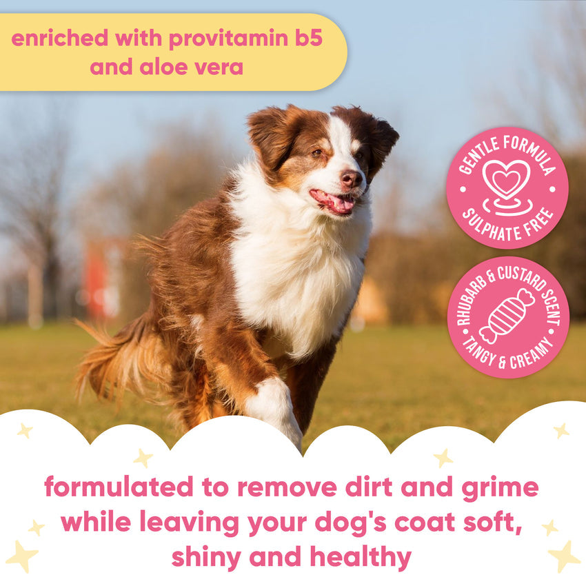 Buddycare Dog Shampoo - Rhubarb & Custard - 5L / 1.32 Gal