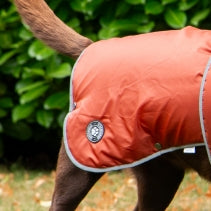 Stormguard Terracotta Dog Coat XXL