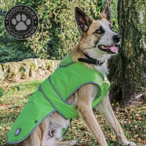 Stormguard Hi-Vis Dog Coat XXL