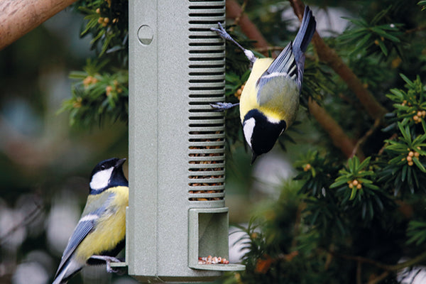 Recycled Feeder Seed