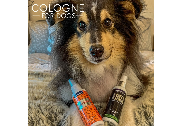 Ancol K9 Dog Cologne Grooming Spray 100ml