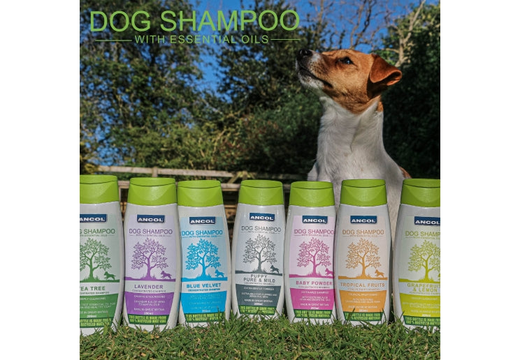 Ancol Lemon and Grapefruit Dog Shampoo 200ml