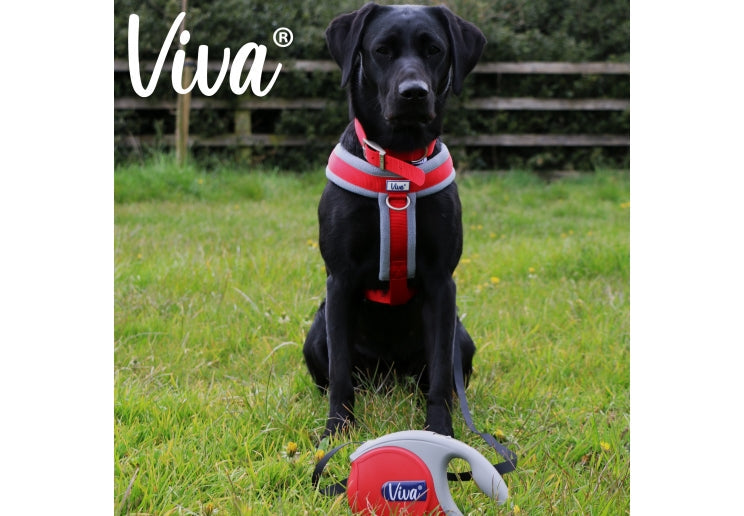 Retractable Viva Lead - Red Small