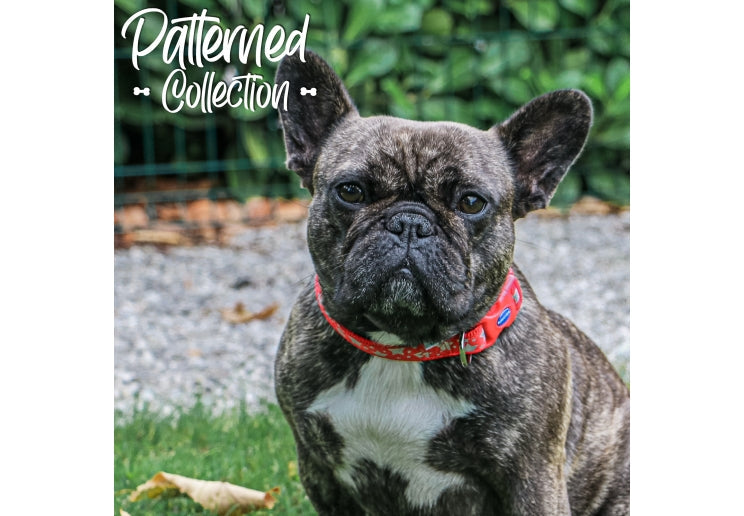 Ancol Red Reflective Stars Dog Collar 20-30cm