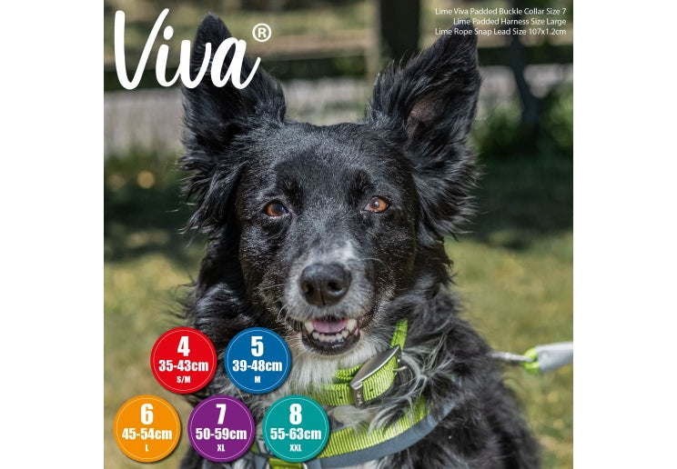 Viva Padded Nylon Blue Dog Collar 55-63cm Size 8