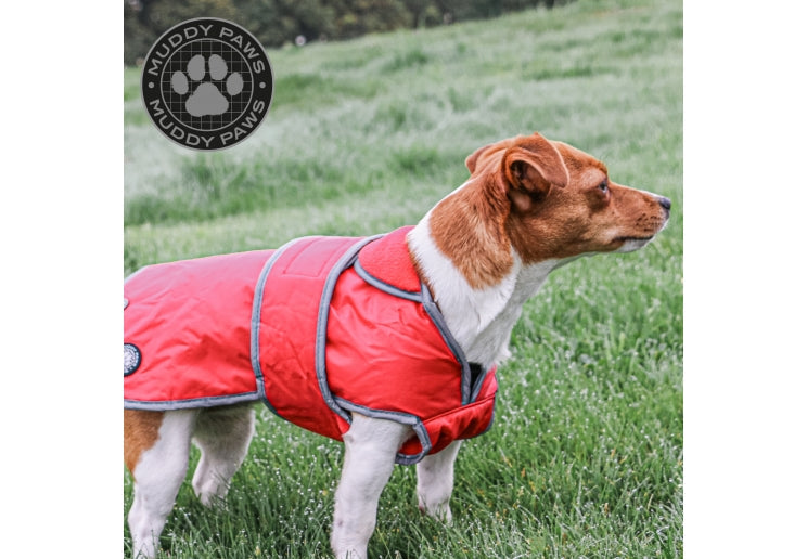 Stormguard Red Dog Coat Small/Medium