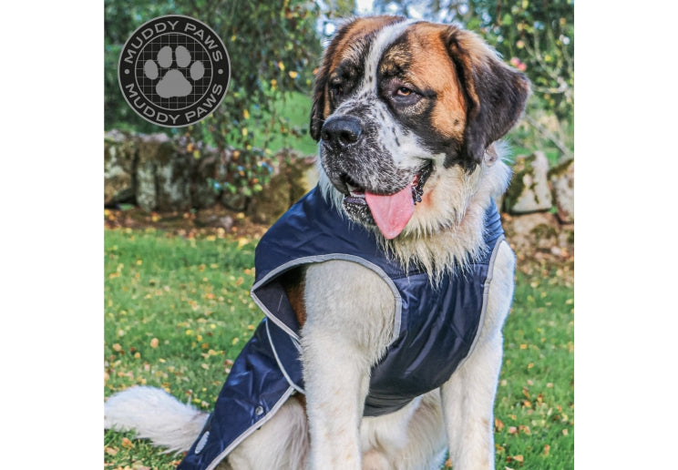 Stormguard Navy Dog Coat XL