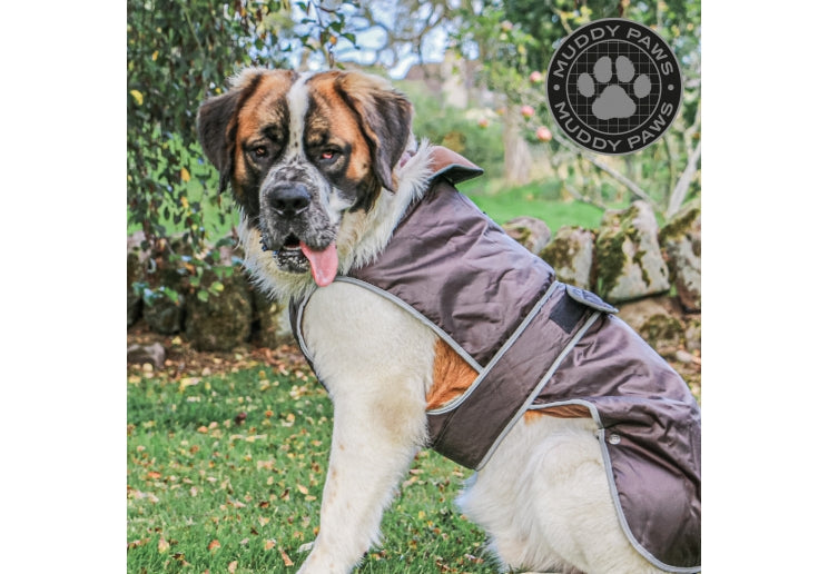 Stormguard Chocolate Dog Coat Medium