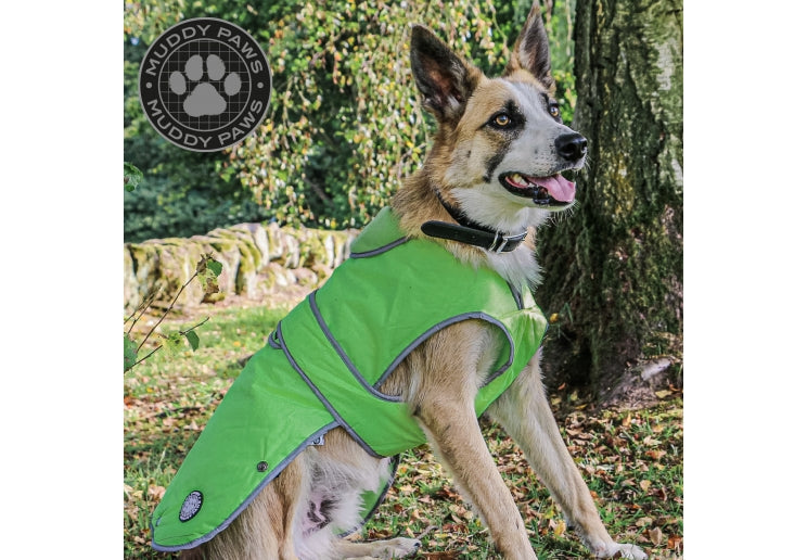 Stormguard Hi-Vis Dog Coat Small