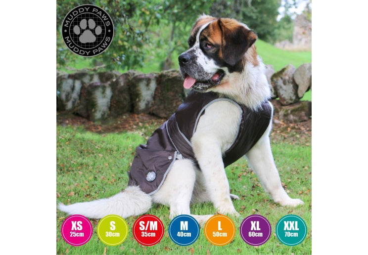 Stormguard Black Dog Coat Large