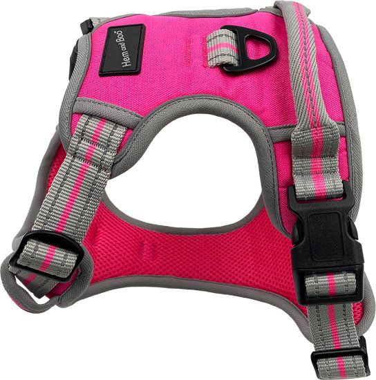 XS Sports Harness Bright Pink