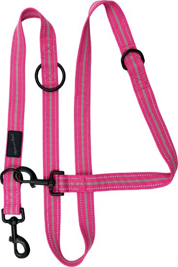 6-in-1 Sports Training Lead Bright Pink 1" x 70"