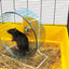 Savic Rolly Giant Exercise Wheel with Stand 27.5cm