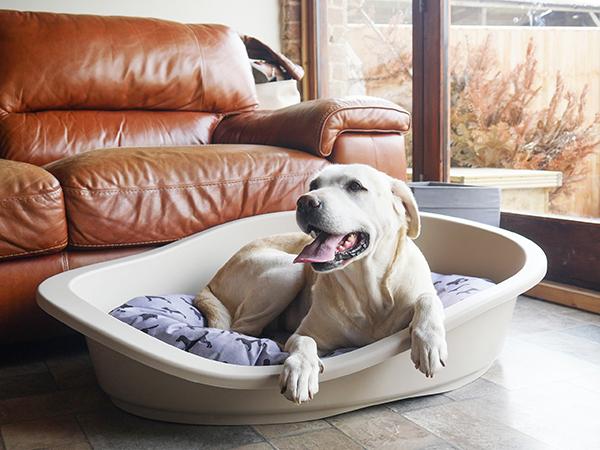 Rosewood All Season Dog Bed Mattress 65 (55cm)