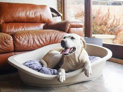 Rosewood All Season Dog Bed Mattress 95 (94cm)