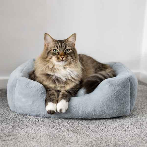 Rosewood Fur Blue Box Dog Bed - Large