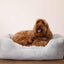 Rosewood Fur Blue Box Dog Bed - Large