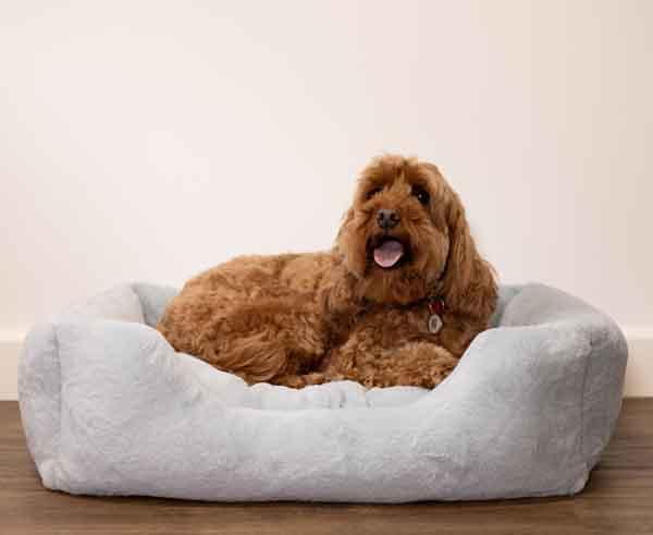 Rosewood Fur Blue Box Dog Bed - Large