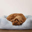 Rosewood Fur Blue Box Dog Bed - Large