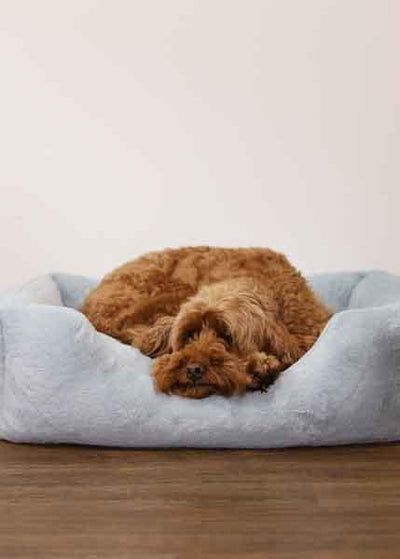 Rosewood Fur Blue Box Dog Bed - Large