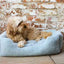 Rosewood Fur Blue Box Dog Bed - Large