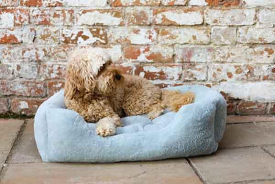 Rosewood Fur Blue Box Bed - Small
