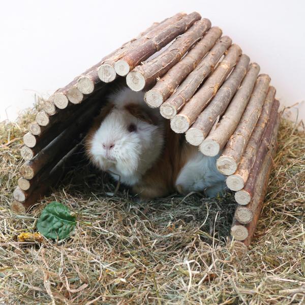 Rosewood Boredom Breaker Small Animal Flexible Hideaway - Large